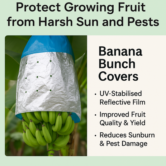 Why UV-Resistant Banana Bunch Covers Are Essential for Australian Growers