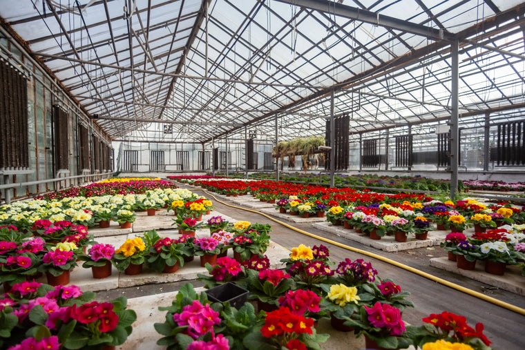 Garden & Horticulture